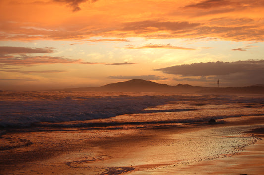 Fabian’s Galapagos Journey: Uncovering Conservation and Discovery