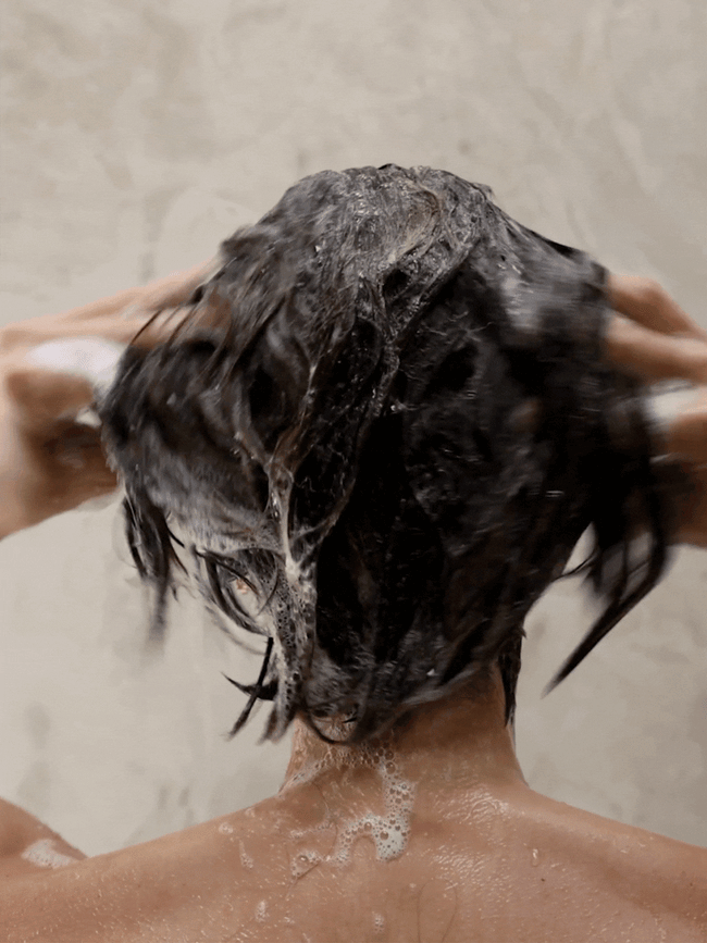 Aloe Vera Shampoo