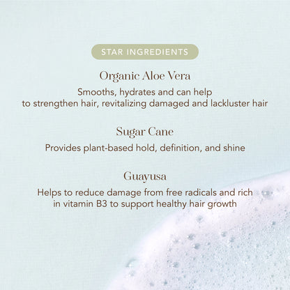 Rahua_Aloe_Vera_Hair_Mousse_Ingredients