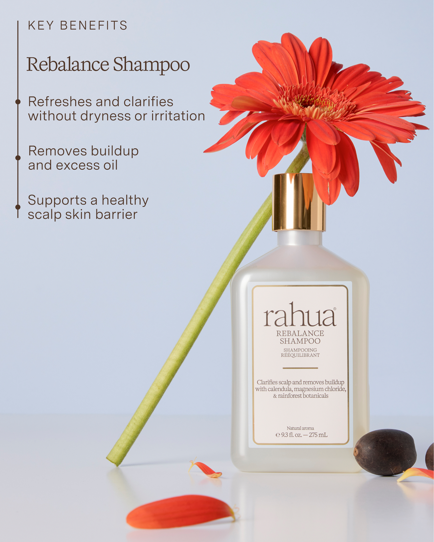 Rebalance Shampoo