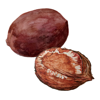 Rahua Oil
